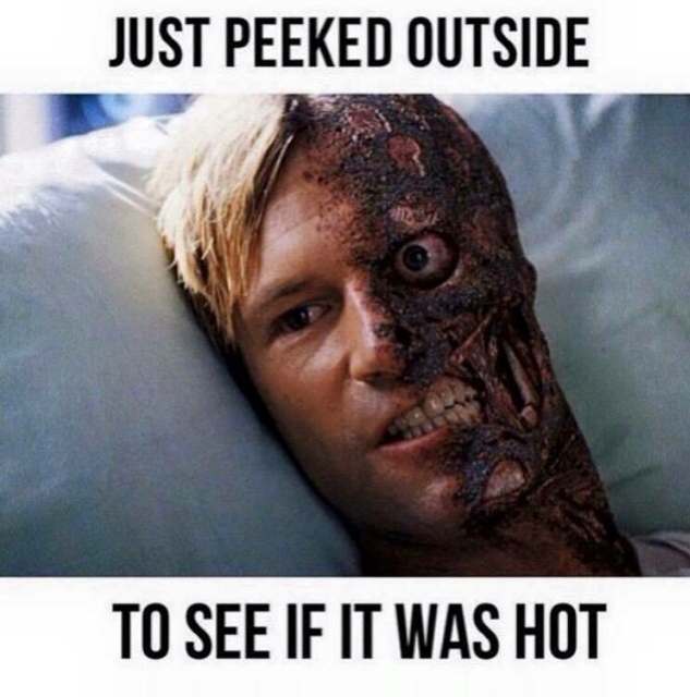 Yes. It's really hot outside here in the UK - meme