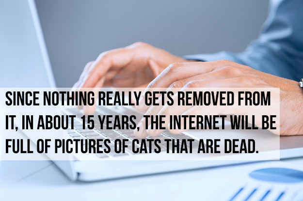 Cats immortalised online - meme