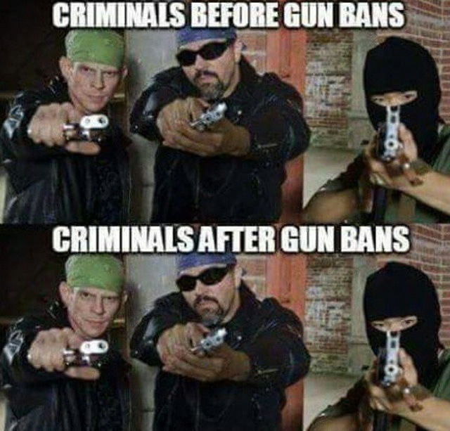 Gun grabbers... - meme
