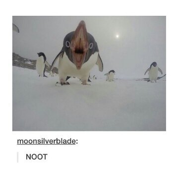Penguins are terrible babysitters - meme