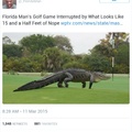 God damn it Florida Gator