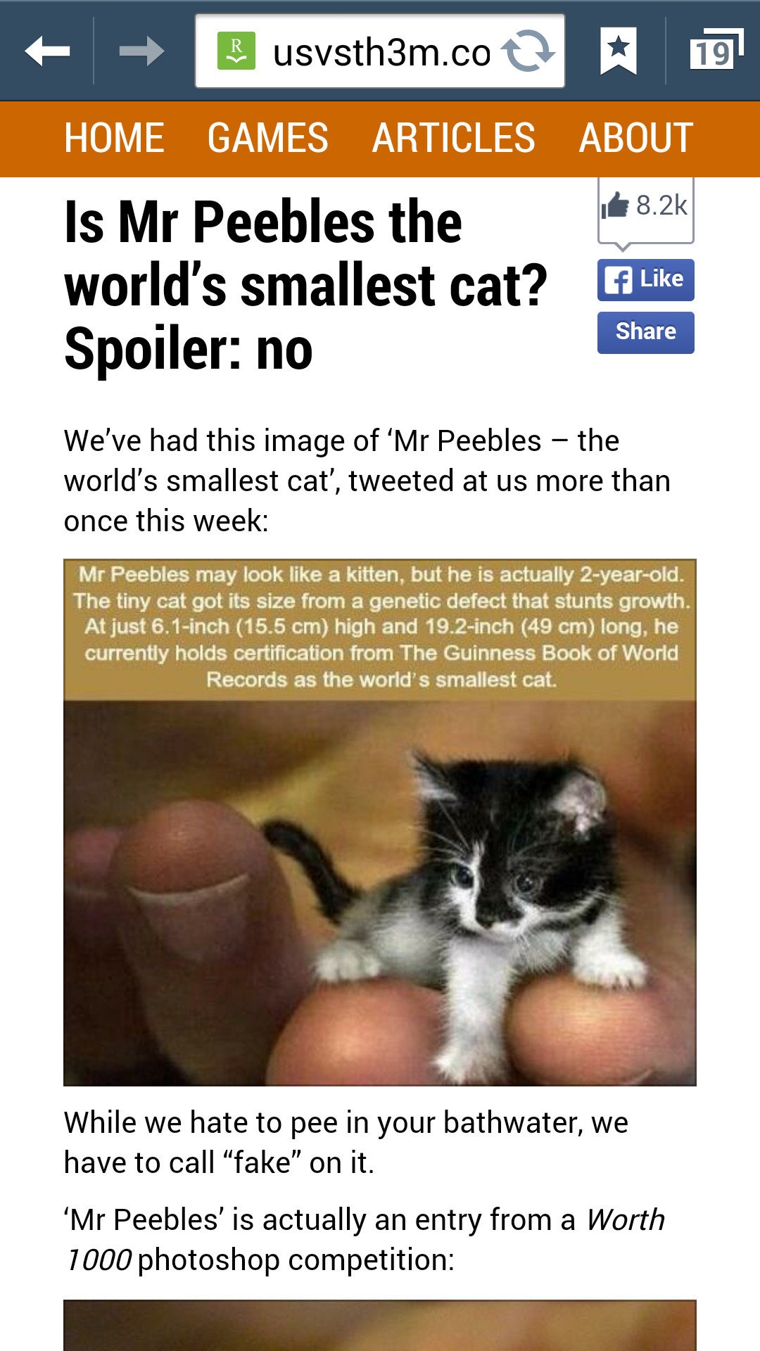 Saw in gallery, looked it up. From snopes. The real smallest cat is 2 3/4 in tall, 7 1/2 long. - meme