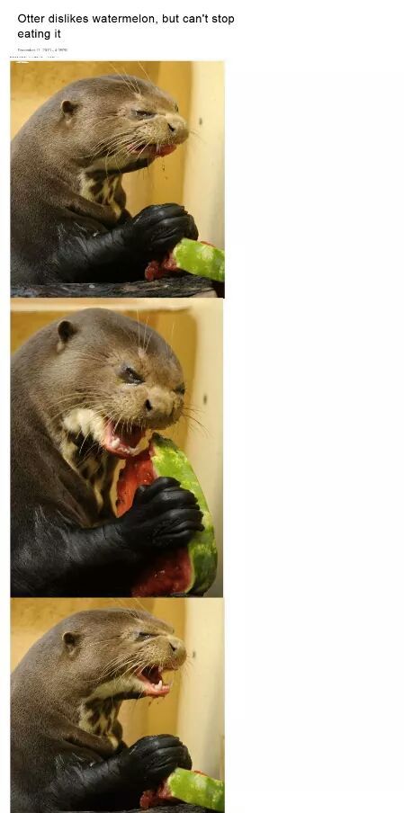 That otter do it - meme