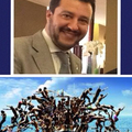Salvini approves ZobRoS