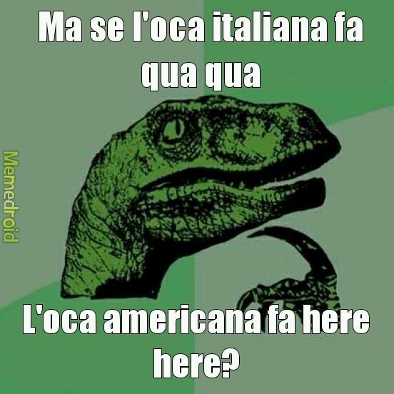 Spero piaccia - meme