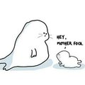 Mother foca