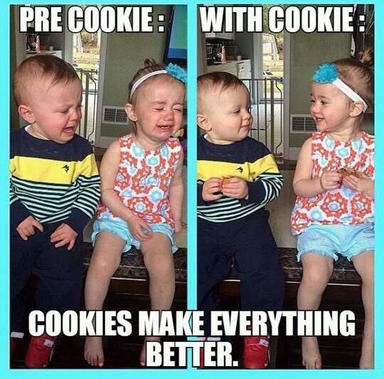 Who wants a cookie? - meme