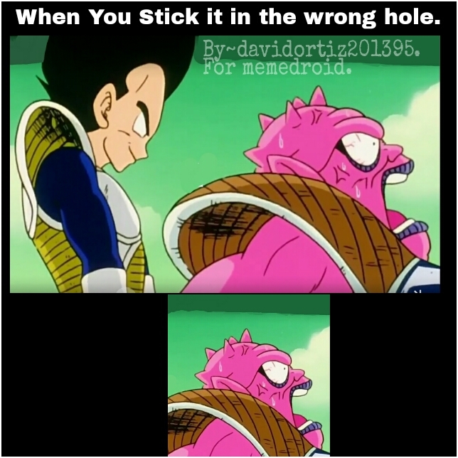 The wrong hole. - meme