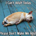 Being an adult...