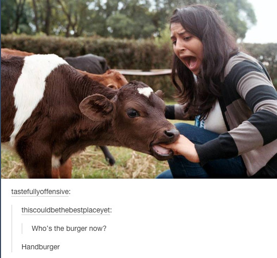 Handburger - meme
