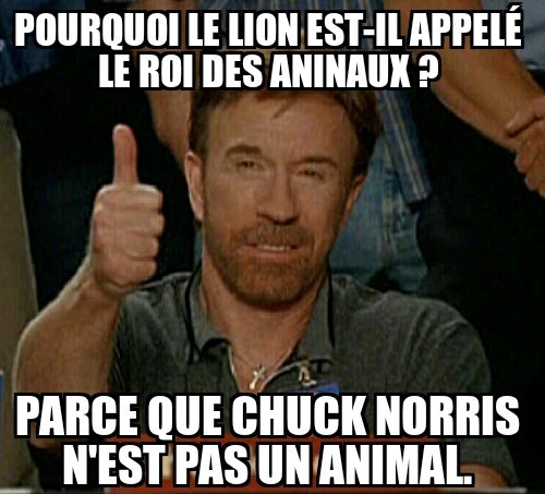 Chuck Norris - meme