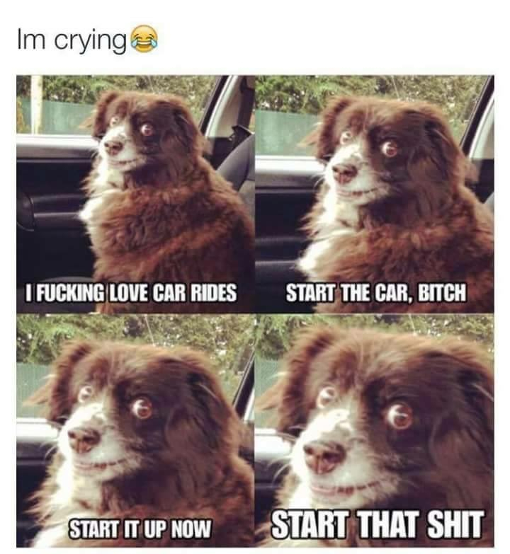 The car bitch - meme