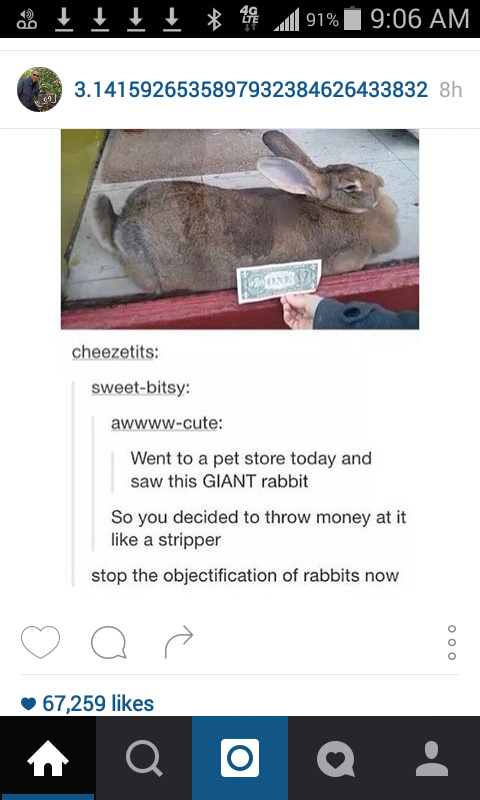 5th comment is a rabbit in a human suit - meme
