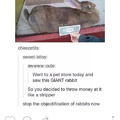 5th comment is a rabbit in a human suit