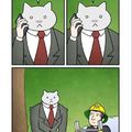 Business cat