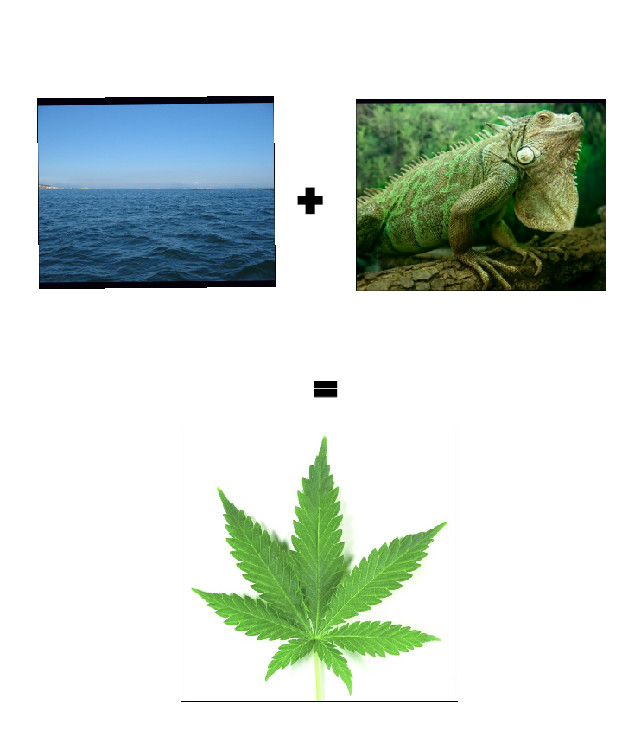 Mar-iguana - meme