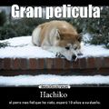 Hachiko