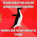 Socially Awesome Penguine