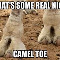 Camel toe for you memedroiders