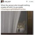 Doge is not pleased