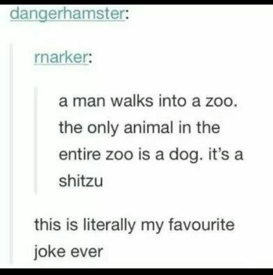 Zoo - meme