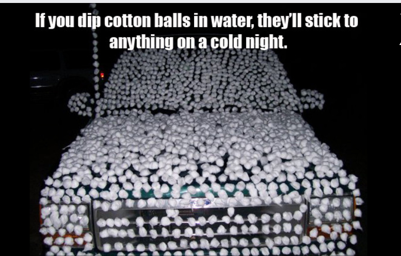 May have to do this in the winter.... - meme
