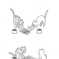 Logica de gatos