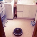 Roomba!