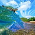 Get it little buddy! You ride that wave!