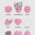 Tipos de cerebro