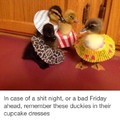 Happy duckies