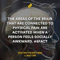 brain and the physical pain