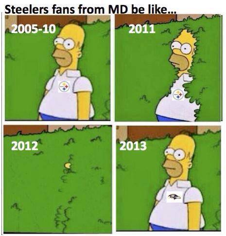 Steelers fans b like - meme