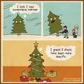 life of a Christmas tree
