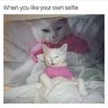 My selfie game is like this cat