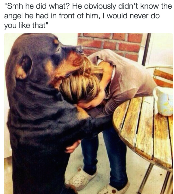 All dogs go to heaven right - meme
