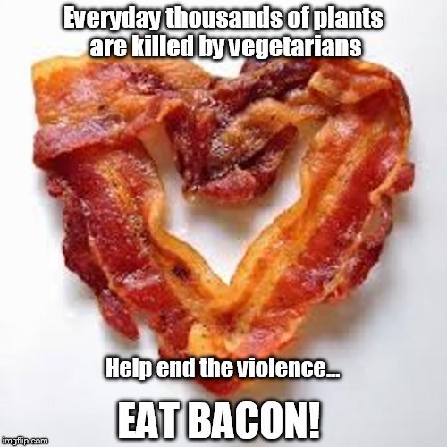 Save the plants, saves the bees, which saves the bacon - meme