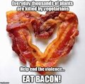 Save the plants, saves the bees, which saves the bacon
