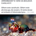 HORA DA BIOLOGIA SEU ARROMBADO