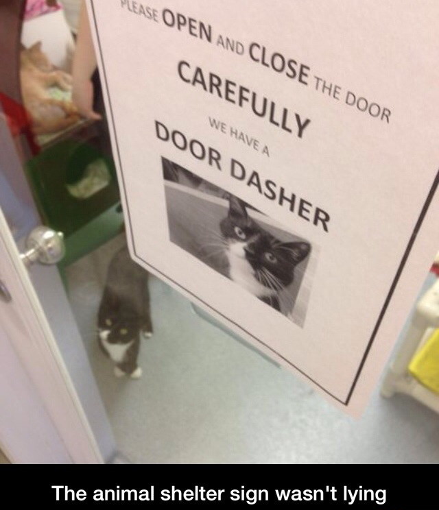 Watch out for the door dasher! - meme
