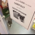 Watch out for the door dasher!