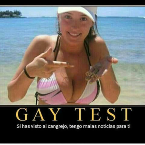 Gay  test - meme