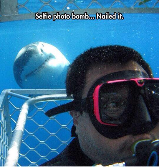 selfie photo bomb - meme