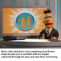 WTF Bert...
