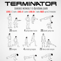 Terminator workout