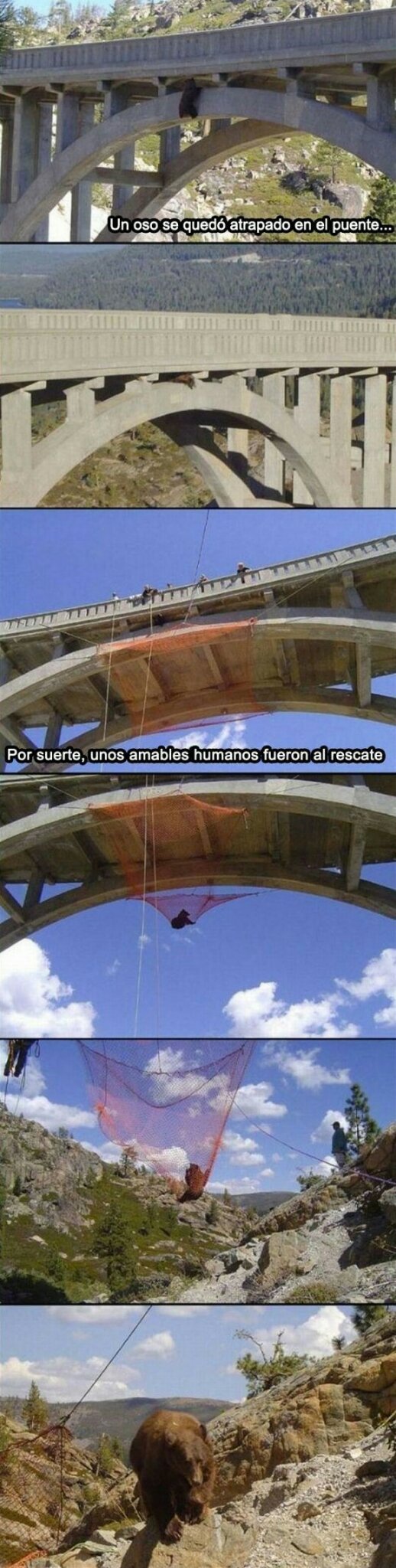 El ser humano también hace cosas buenas - meme