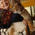 El conejo más grande del mundo 0_0