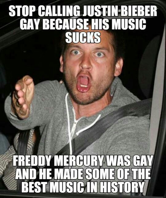 Gay isn't an insult anyway - meme