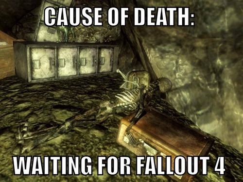 Death cause of Fallout 4 - meme
