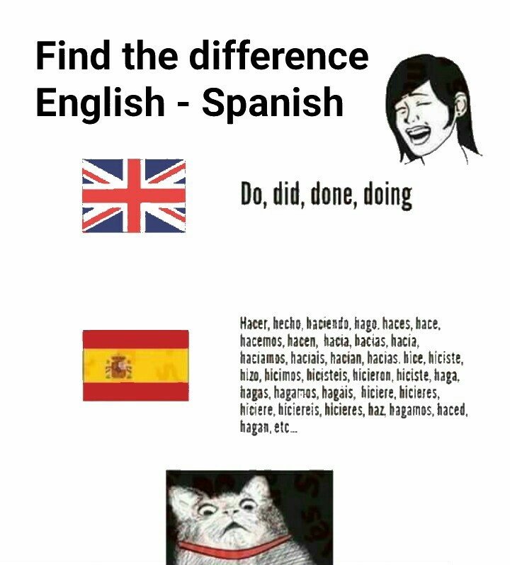 Fucking languages - meme